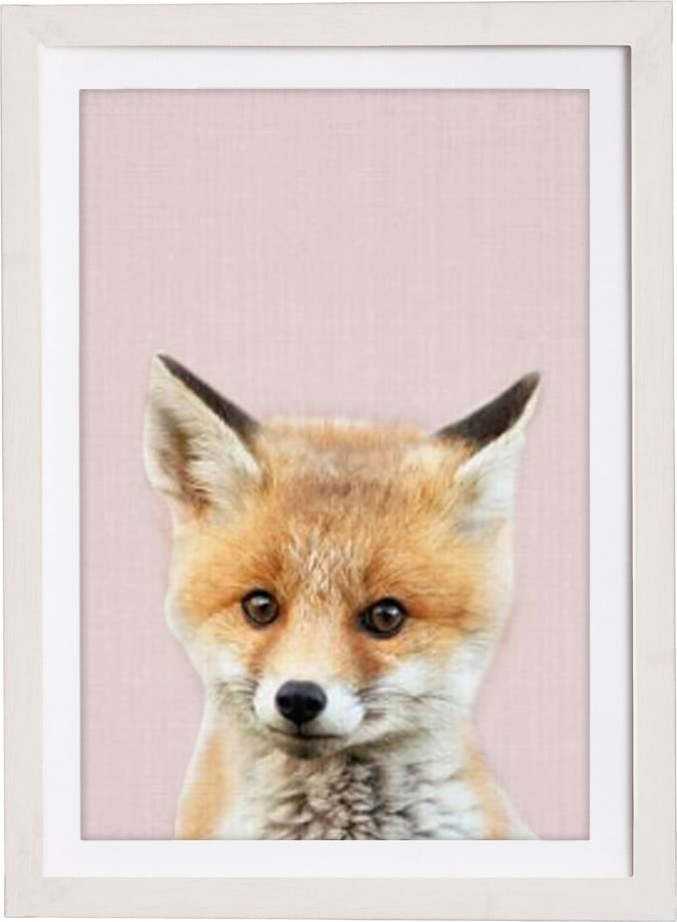 Nástěnný obraz v rámu Querido Bestiario Baby Fox