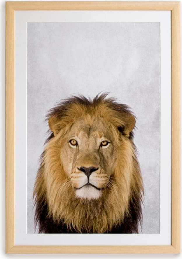Nástěnný obraz v rámu Surdic Lion