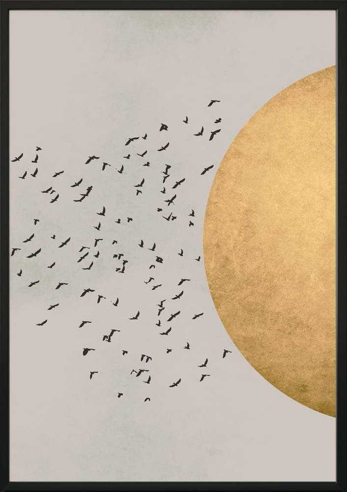 Nástěnný plakát v rámu BIRDS/SILHOUTTE