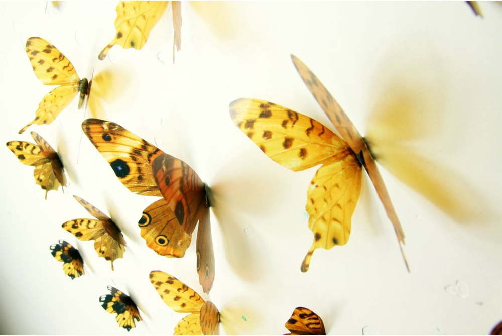 Sada 18 adhezivních 3D samolepek Ambiance Butterflies Yellow Ambiance