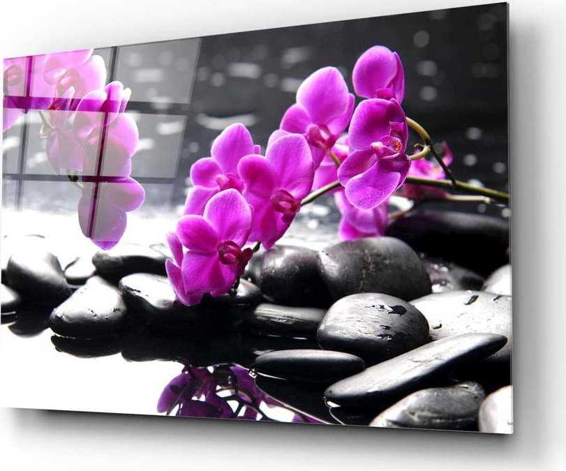 Skleněný obraz Insigne Orchid Insigne