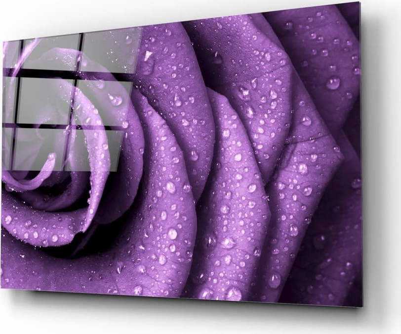 Skleněný obraz Insigne Purple Rose Insigne