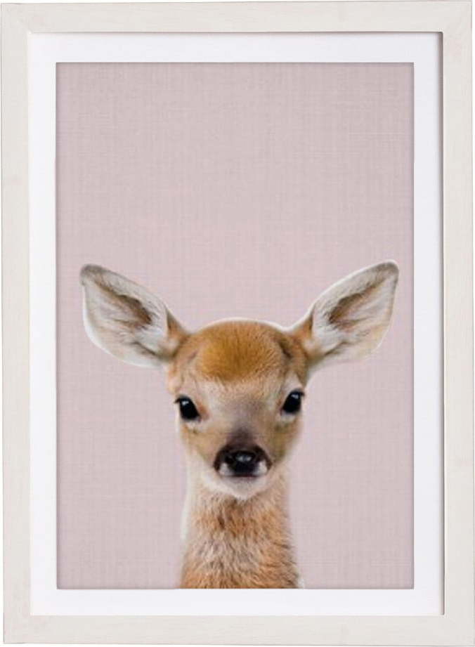 Nástěnný obraz v rámu Querido Bestiario Baby Deer